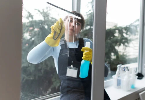 Nettoyage de vitres intérieures et extérieures à la Bauche